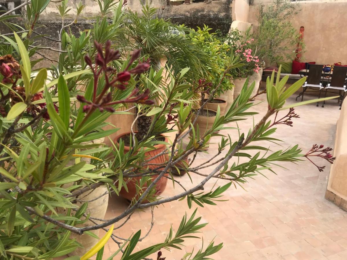 Riad Boujloud Фес Екстер'єр фото